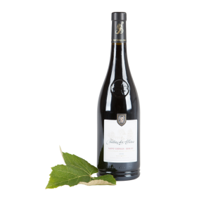 Chateau des Albières 2016