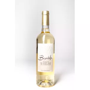 Muscat de Saint Jean de Minervois