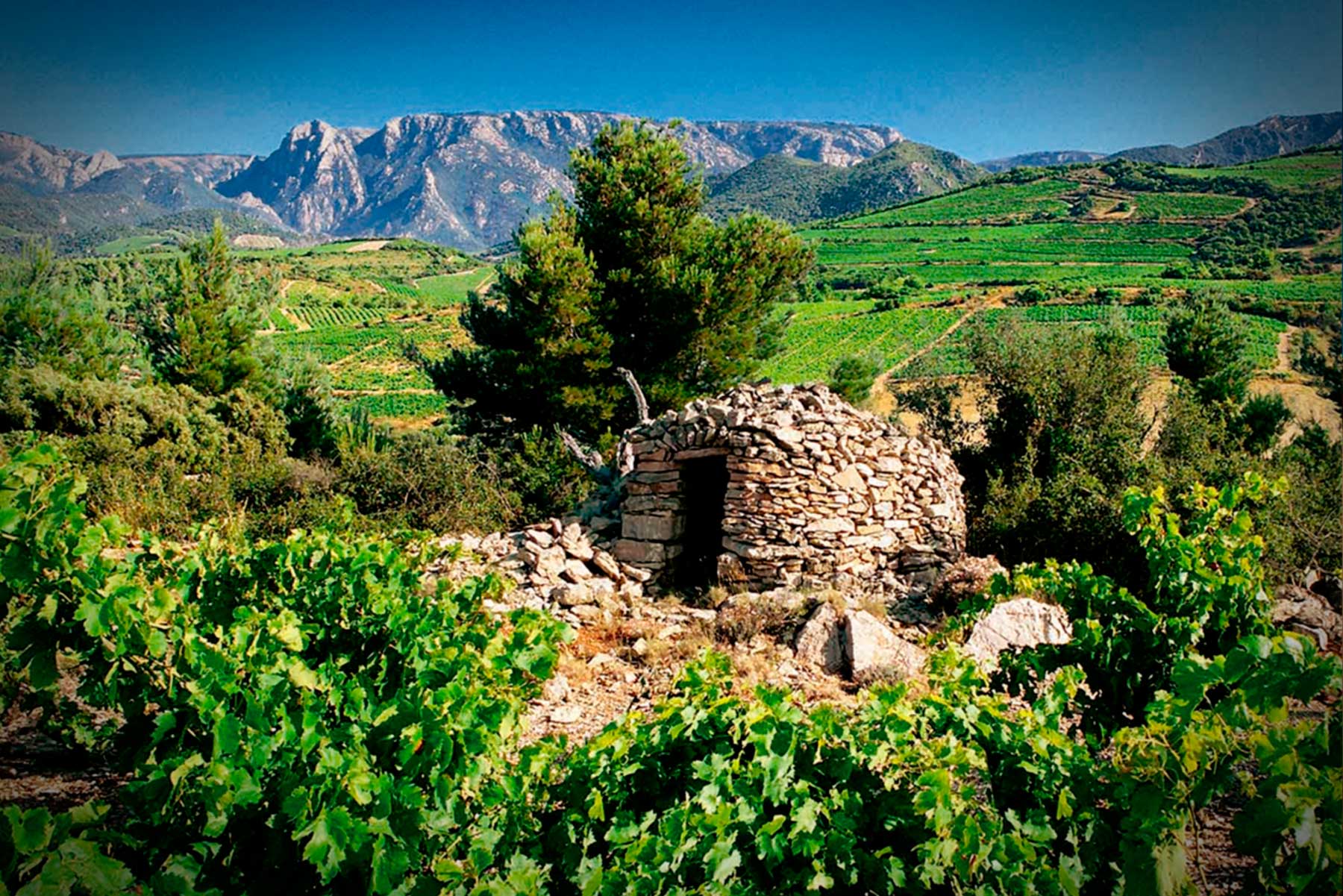 Domaine des Jougla: vier eeuwen wijntraditie in Saint-Chinian