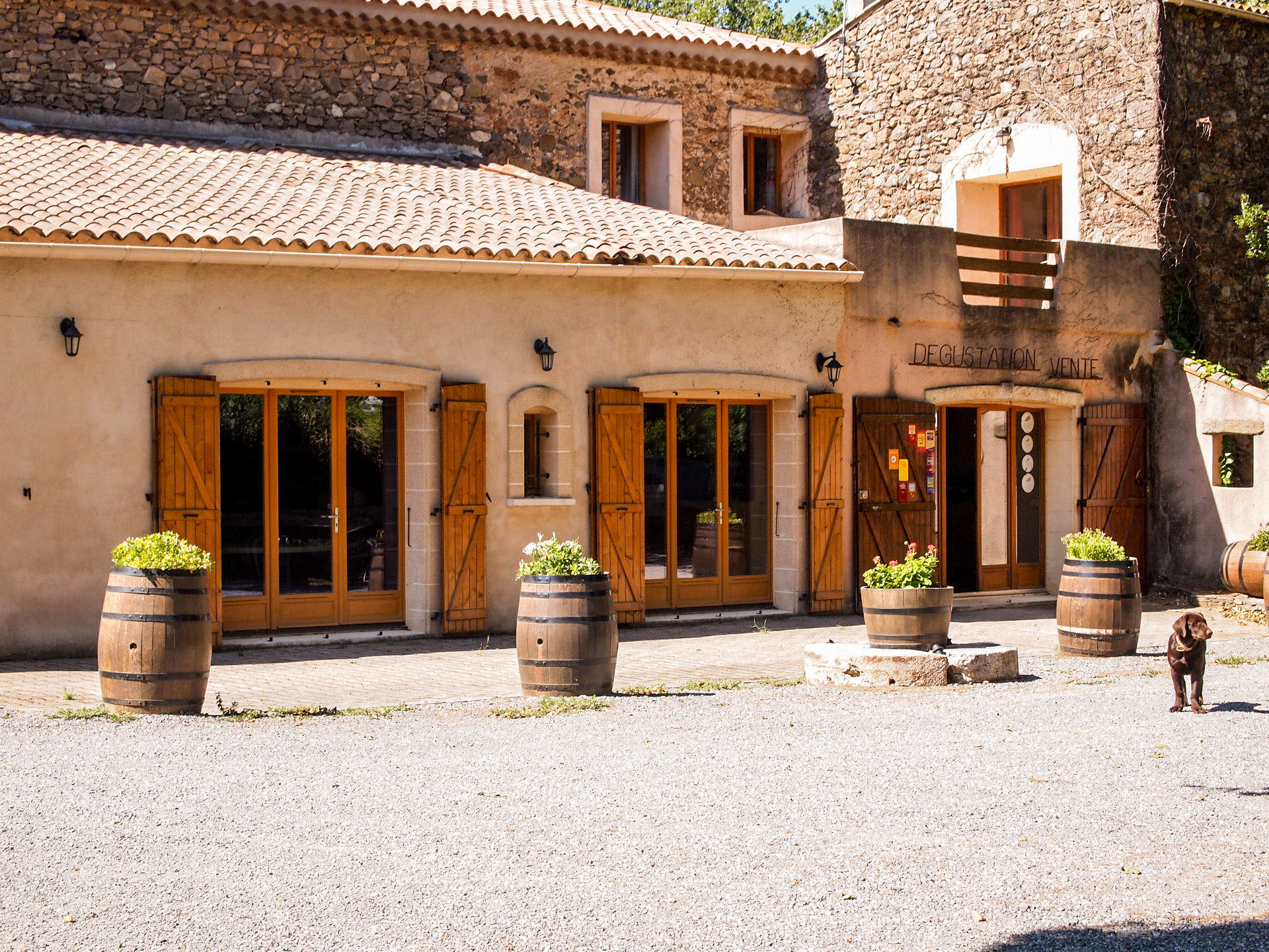 Vignoble Belot Pierrerue (Saint-Chinian)